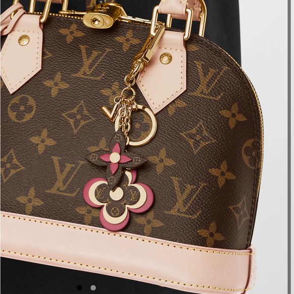 Louis Vuitton BAG CHARM AND KEY HOLDER - Picture 1 of 5